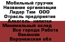 Мобильный грузчик › Название организации ­ Лидер Тим, ООО › Отрасль предприятия ­ Алкоголь, напитки › Минимальный оклад ­ 18 000 - Все города Работа » Вакансии   . Воронежская обл.,Воронеж г.